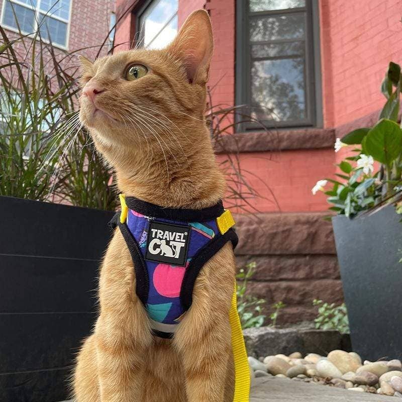 “The 90s Cat” Limited-Edition Harness & Leash Set LARGE