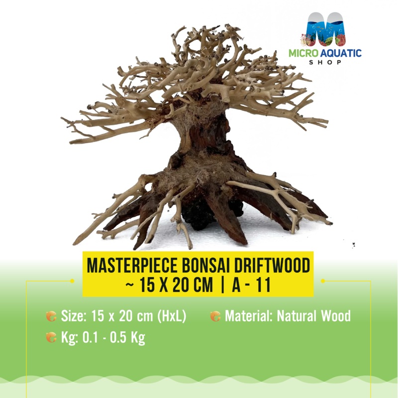 Masterpiece Bonsai Driftwood ~ 15 x 20 cm | A – 11
