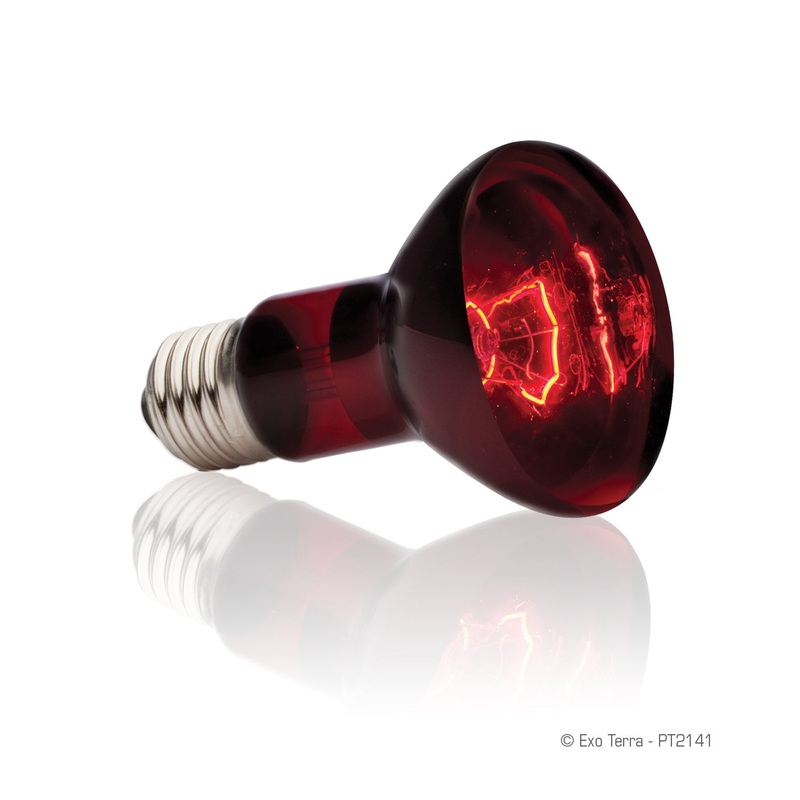 Exo Terra Night Infrared Basking Spot Lamps 50 Watt