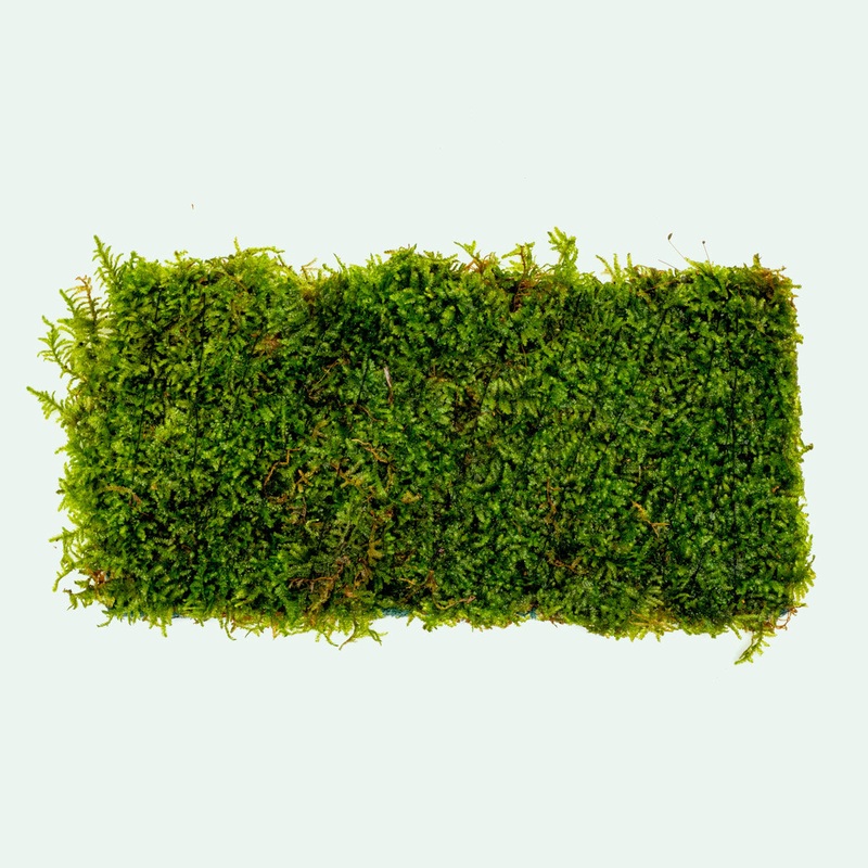 Christmas Moss Fiber Mat