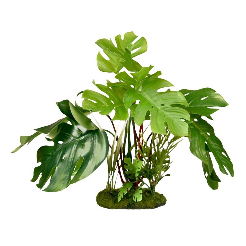 ColorBurst Florals Gravel Base Plant – Split Leaf Philodendron 7.25 inches