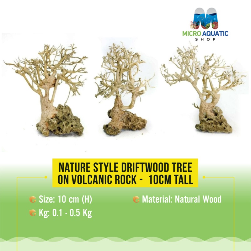 Nature style Driftwood tree on Volcanic Rock –  10cm Tall