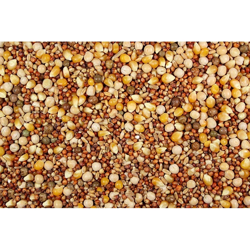 White Tag 14% with Popcorn (Leach Grain & Milling) Pigeon Feed