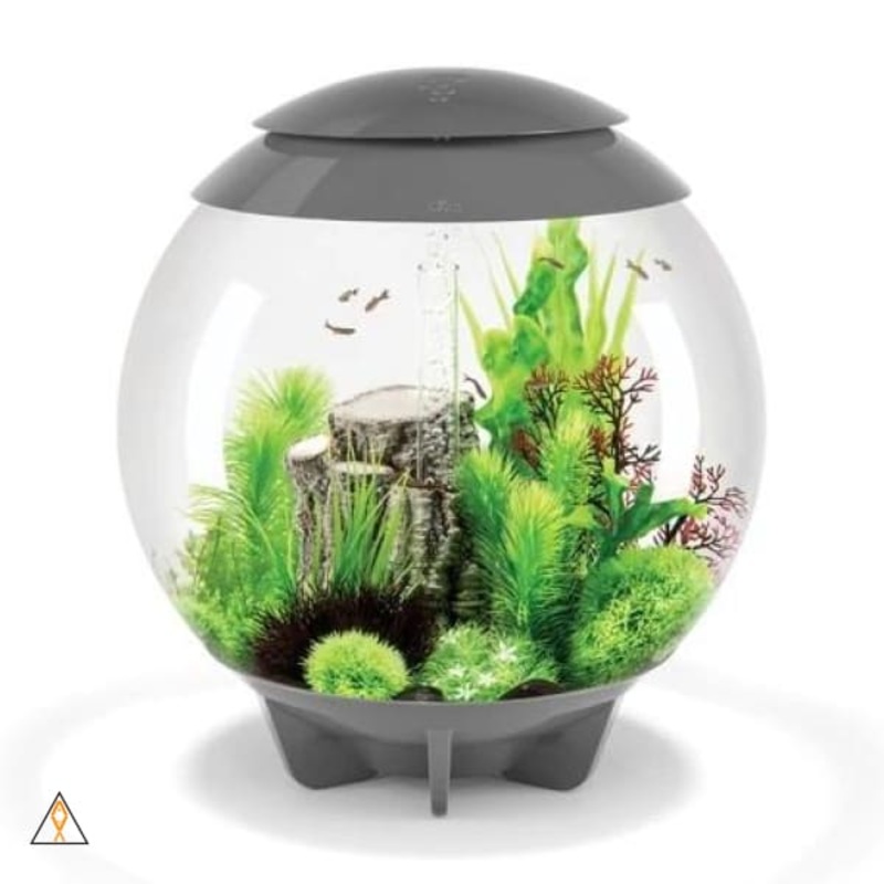 BiOrb Halo 60 Aquarium Kit (16 GAL) – Oase Gray