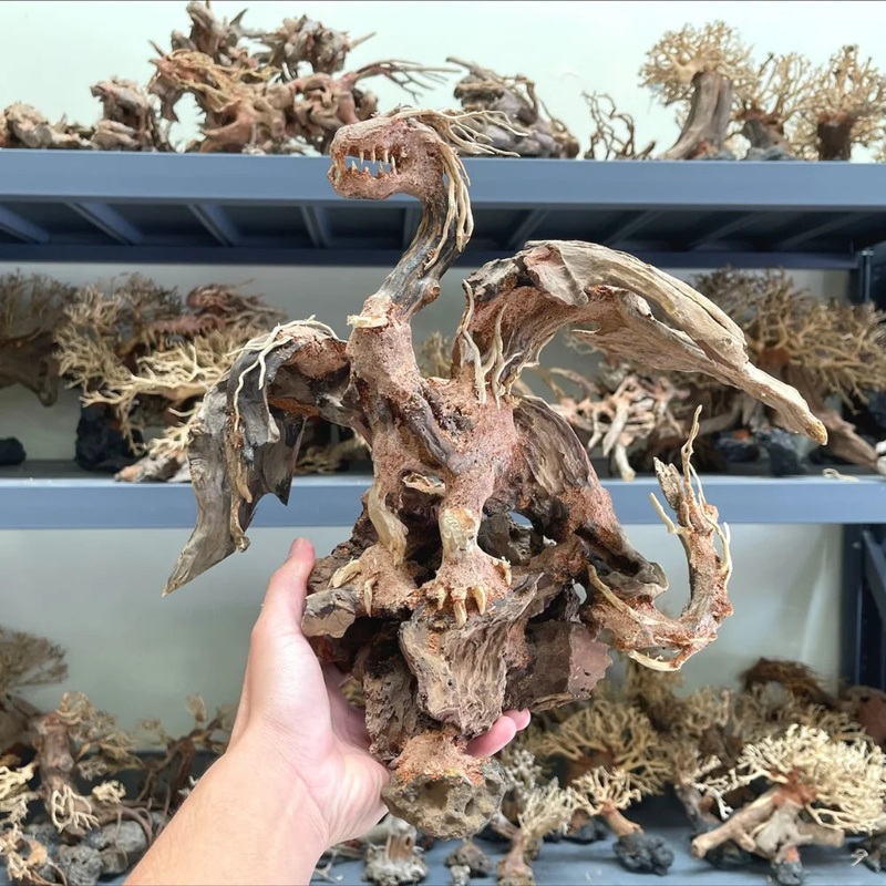 Dragon Driftwood Arts –  Unique Dragon Bonsai Driftwood