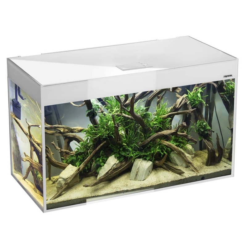 Aquael Glossy 80 White Aquarium