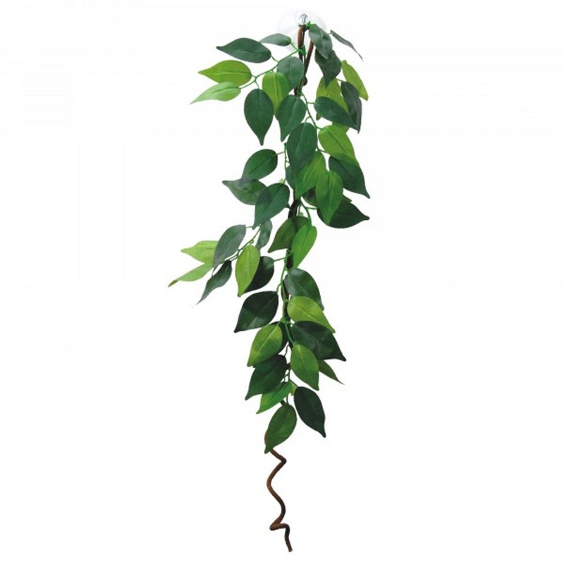 Eco Tech Hanging Ficus With Vine 60cm