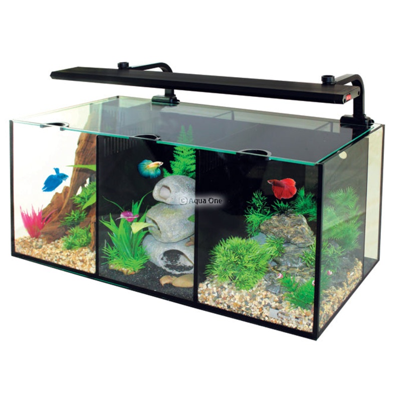 Aquarium Betta Trio 32L 55 x 25 x 25cm