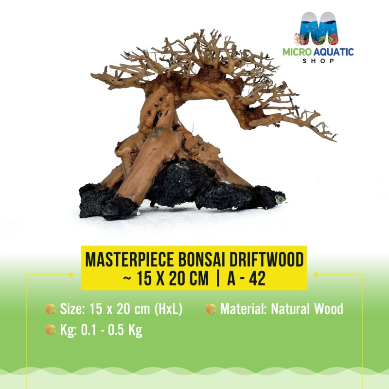 Masterpiece Bonsai Driftwood ~ 15 x 20 cm | A – 42