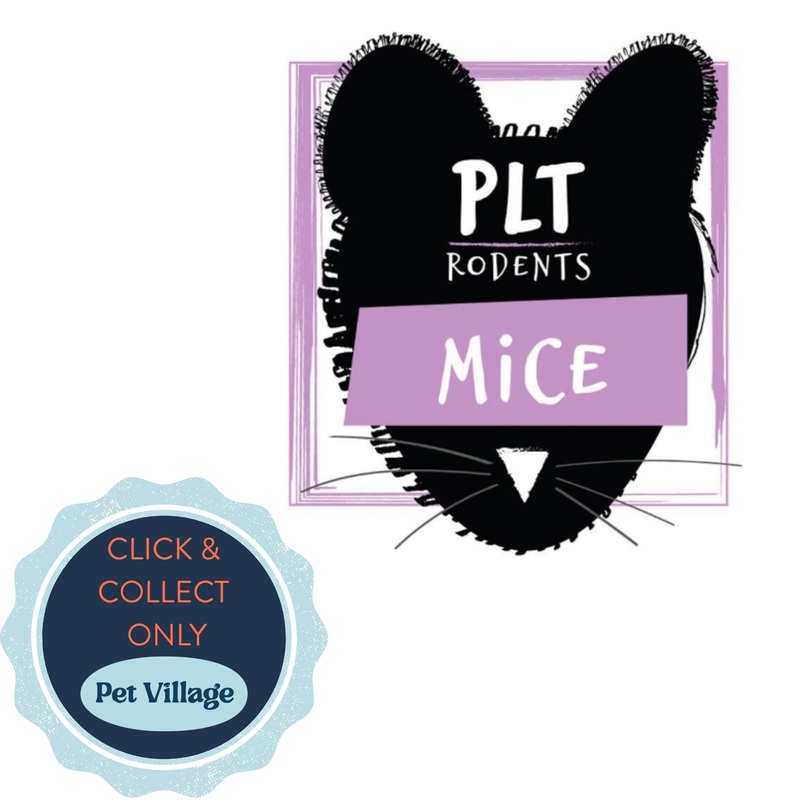 10-Pack Mice Large 26g+  Balanced Prey for Growing Reptiles & Birds of Prey