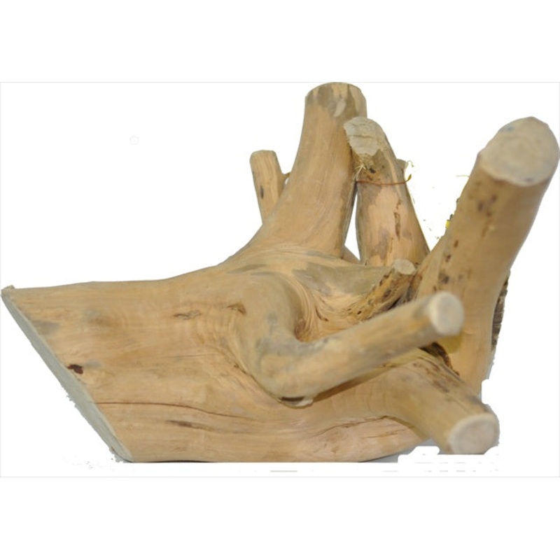 A&E Cage Co Small Reptile Branch