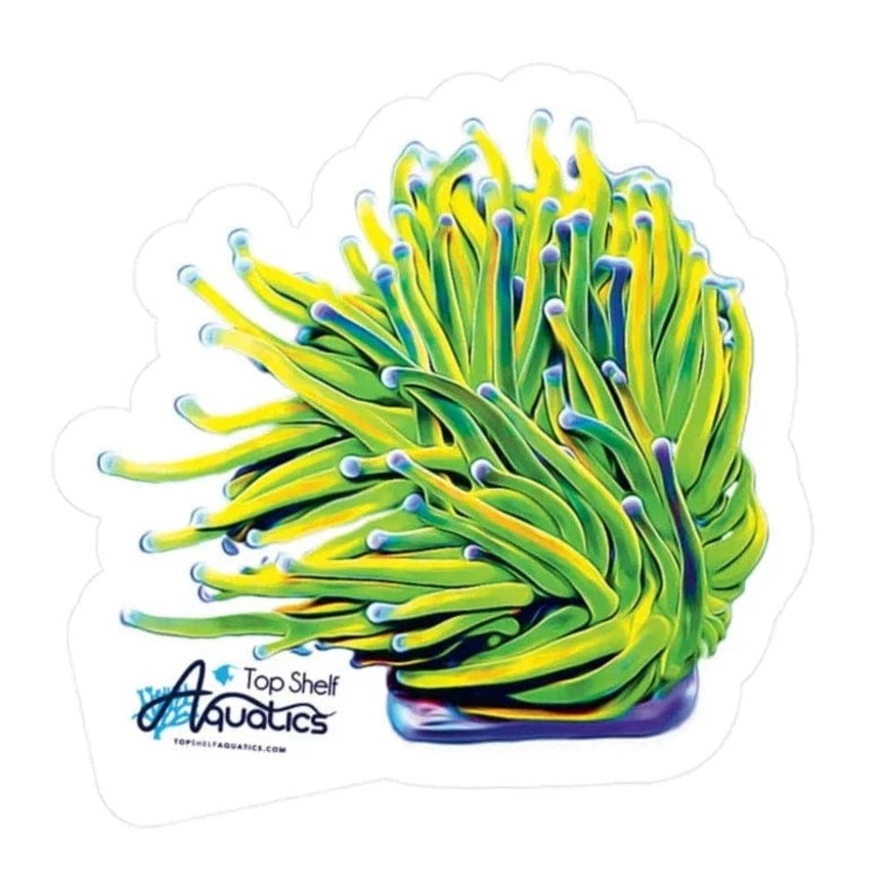 TSA Holy Grail Torch Sticker