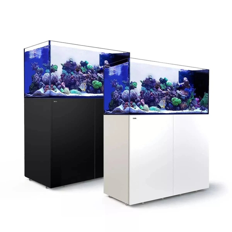 REEFER Peninsula 350 G2+ (137.1 Gal) – Red Sea