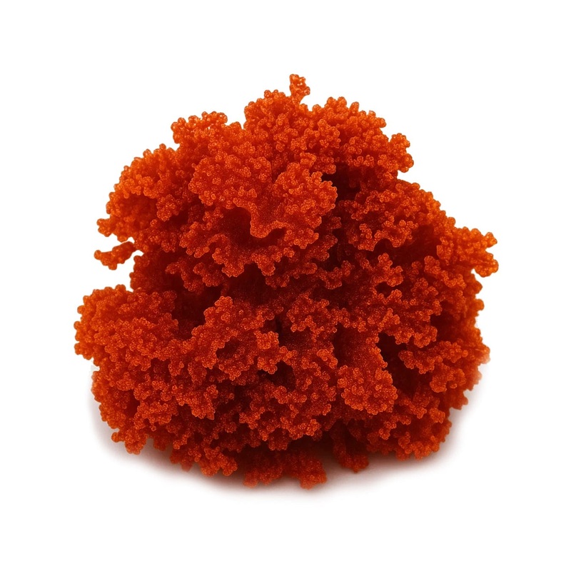 Atomic Broccoli Macroalgae