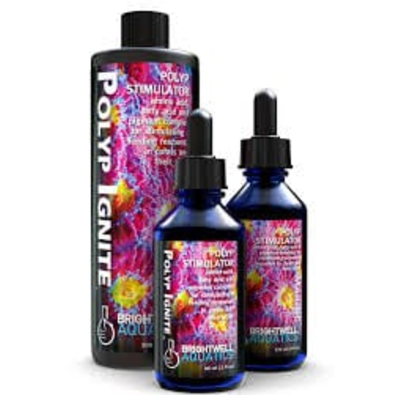Polyp Ignite – Brightewell