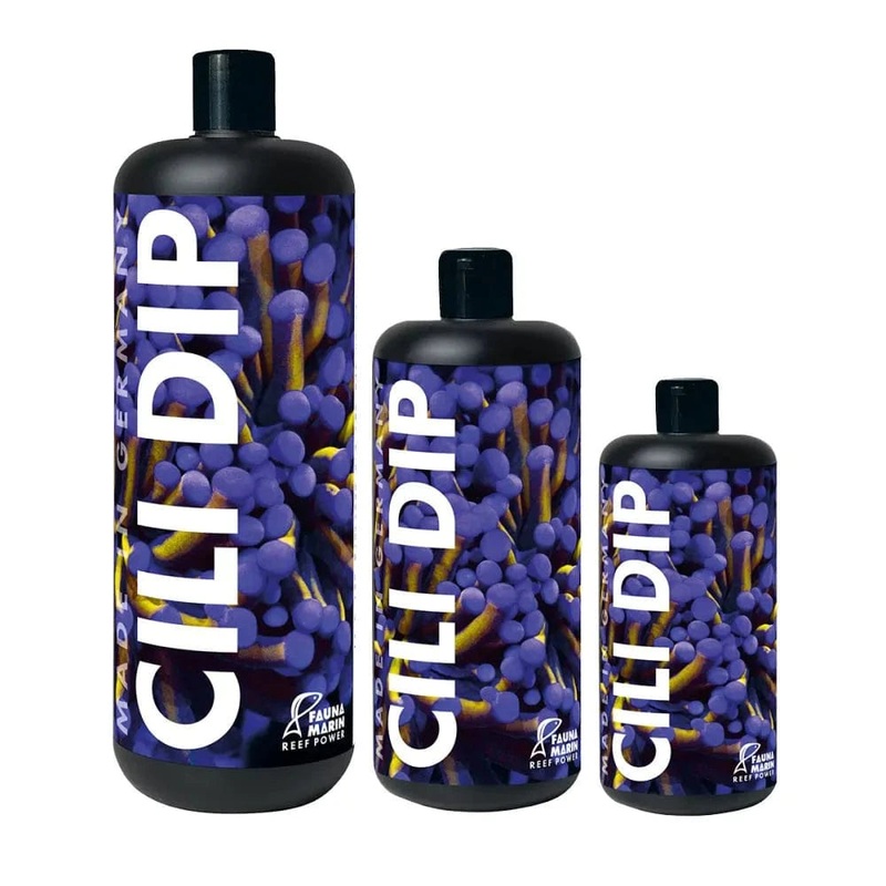 Cili Dip – Fauna Marin