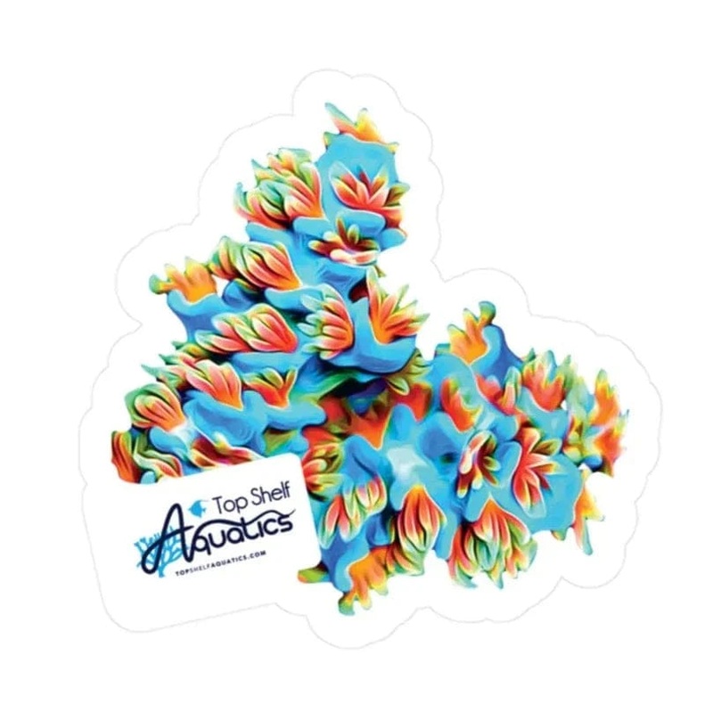 TSA Haymaker Acropora Sticker
