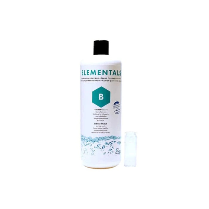 ELEMENTALS B – Boron – Fauna Marin