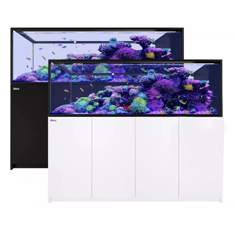 REEFER Peninsula S-950 G2+ (250.2 Gal) – Red Sea